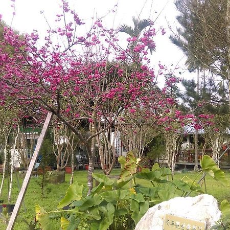 Sun Moon Lake Wild Flower Bed & Breakfast Yuchi Exterior foto
