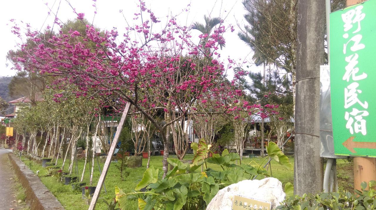 Sun Moon Lake Wild Flower Bed & Breakfast Yuchi Exterior foto