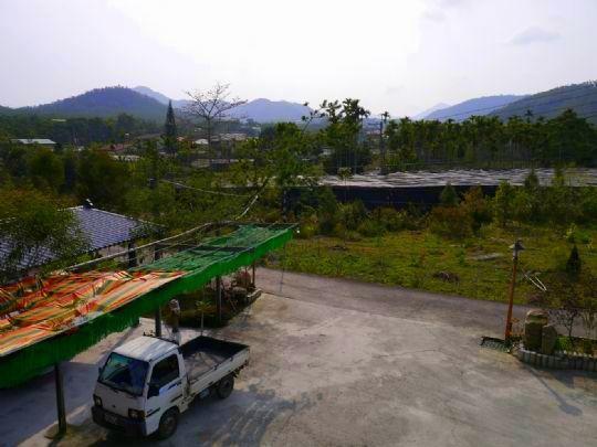 Sun Moon Lake Wild Flower Bed & Breakfast Yuchi Exterior foto